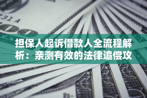 济南担保人起诉借款人全流程解析：亲测有效的法律追偿攻略