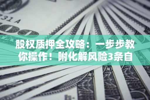 济南股权质押全攻略：一步步教你操作！附化解风险3条自救法则