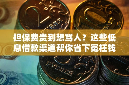 济南担保费贵到想骂人？这些低息借款渠道帮你省下冤枉钱