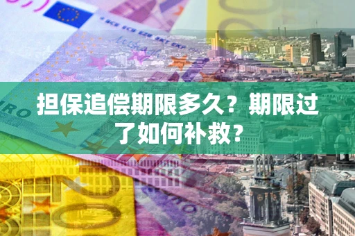 济南担保追偿期限多久？期限过了如何补救？