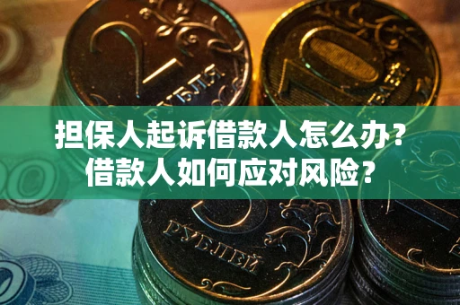 济南担保人起诉借款人怎么办？借款人如何应对风险？