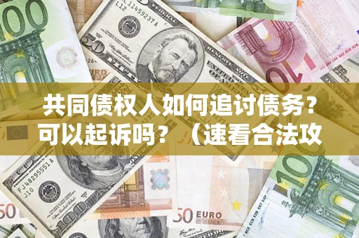 济南共同债权人如何追讨债务？可以起诉吗？（速看合法攻略）