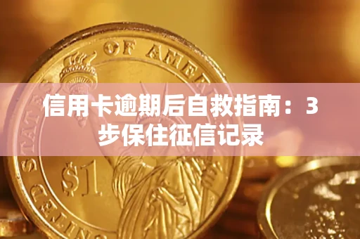 济南信用卡逾期后自救指南：3步保住征信记录